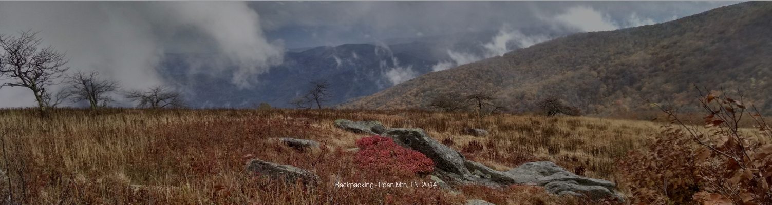 roan mountain tennessee